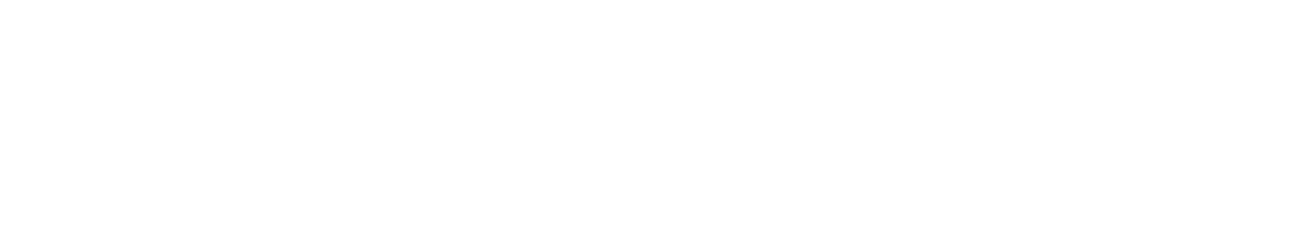 Stogger Turf Care